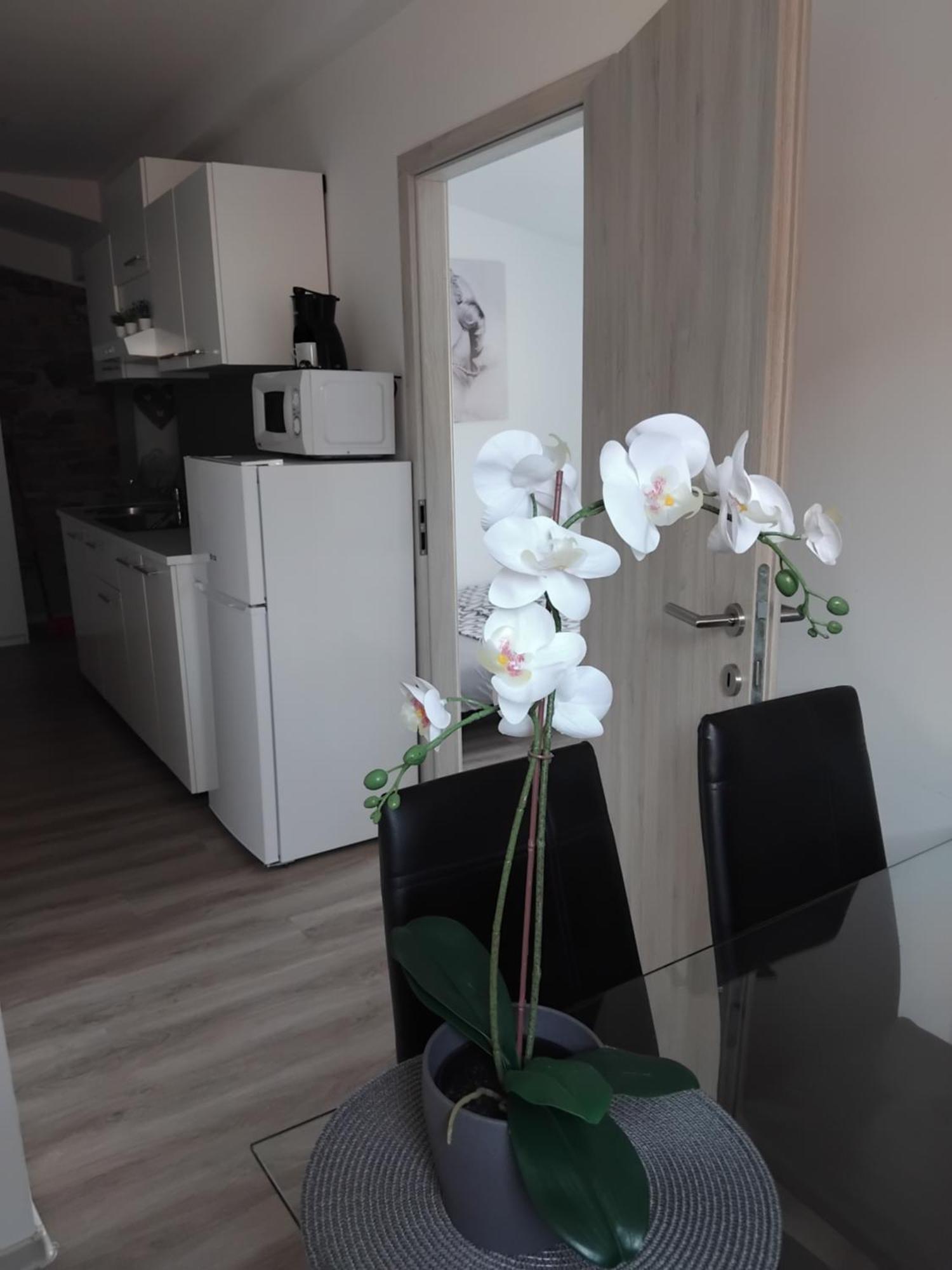Apartmaja Eva&Pia Capodistria Esterno foto